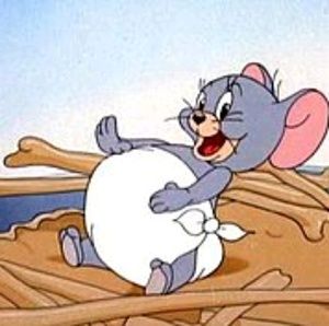 Meet your Posher, Leo